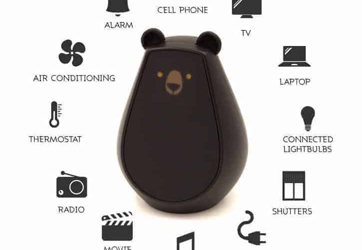 bearbot-universal remote