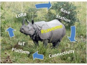 Indian Rhinoceros with IoTwild life saving with IoT