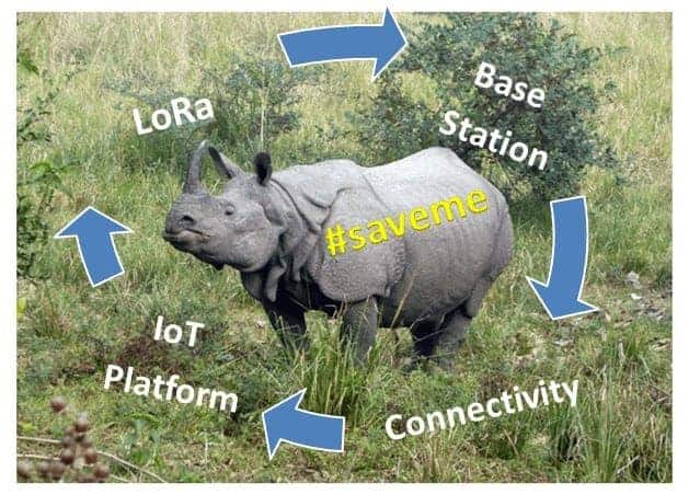 Indian Rhinoceros with IoTwild life saving with IoT