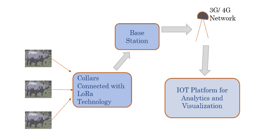 indian Rhinoceros and wild life saving with IoT