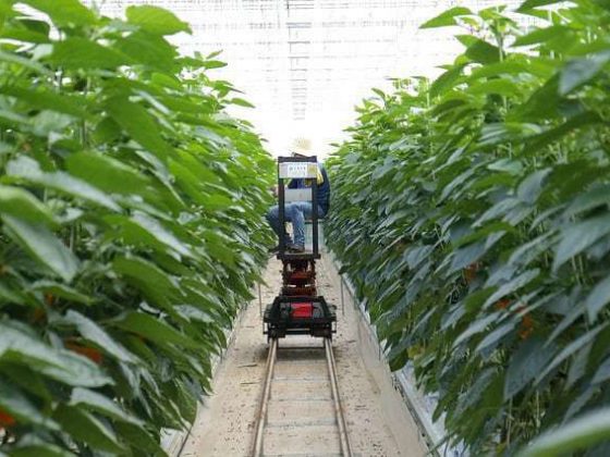 Smart farming using IoT - Modern farming methods