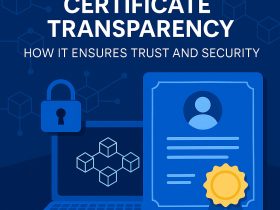 Blockchain and Certificate Transparency