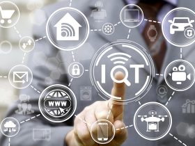 IoT software development guide for business