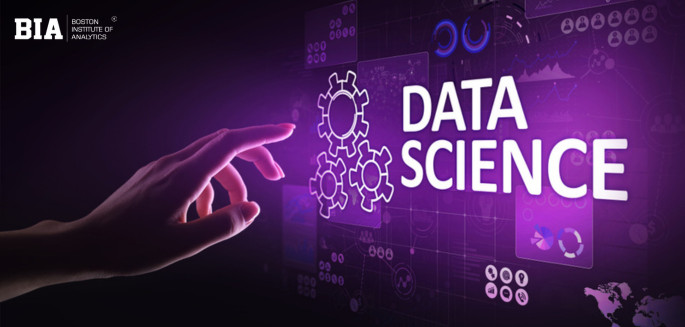 Data science career paths